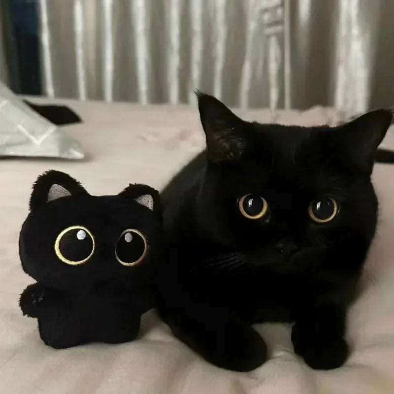 1/2pc Cute Black Cat Plush Toy Doll Small Pendant Cuddly Pillow Cushion Ins Black Cat Plush Toy Doll for Boy Girl Brithday Gifts